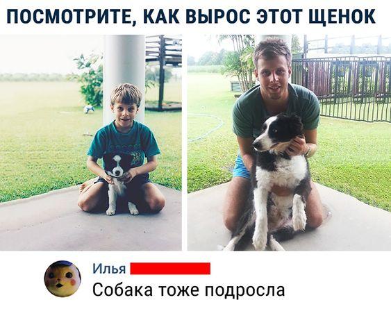 Смешные и угарные картинки