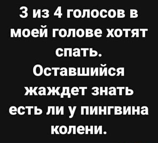 Картинки с прикольными шутками на различные темы