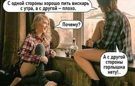 Очень смешные и прикольные картинки