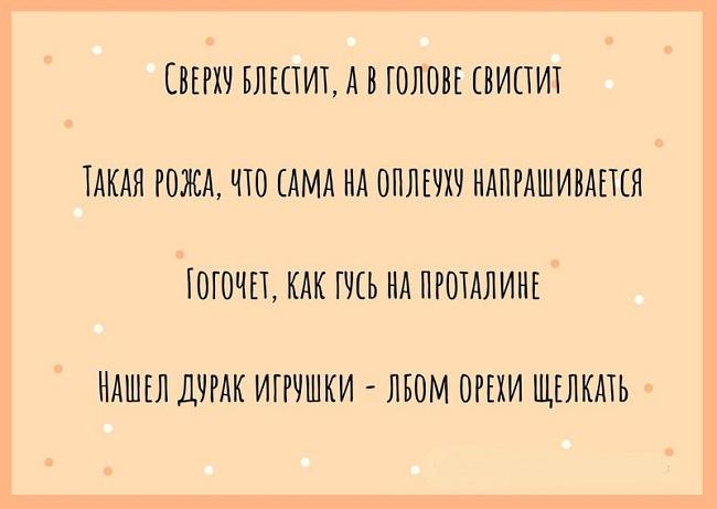 Подробнее о статье Прикольные пословицы и поговорки