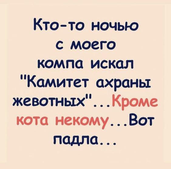 Подробнее о статье Свежие шутки на утро среды