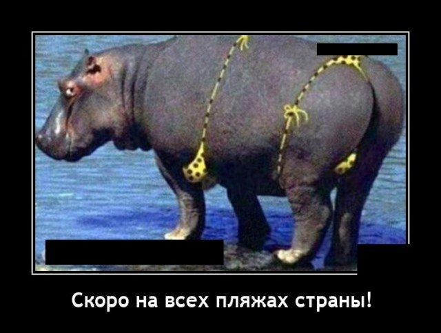 Свежие лучшие демотиваторы