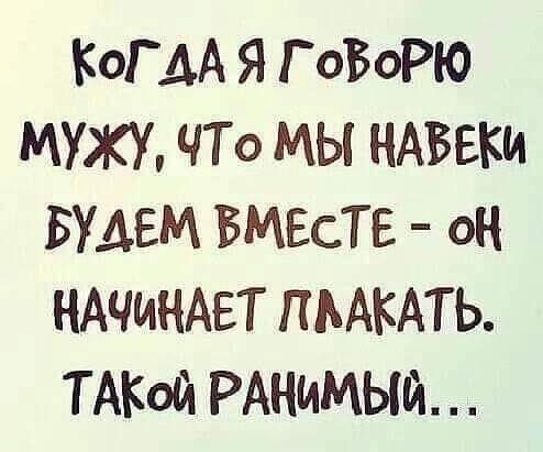 Картинки с ржачными до слез шутками на различные темы