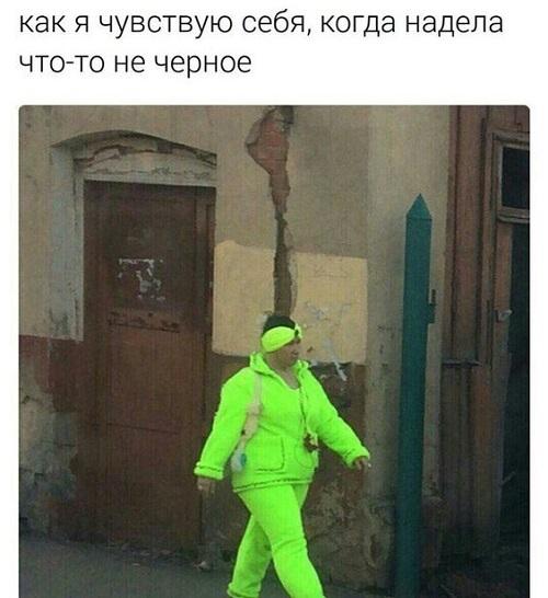 Самые смешные и забавные картинки