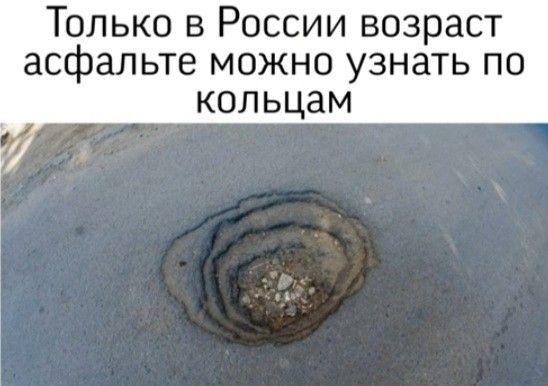 Самые смешные и забавные картинки