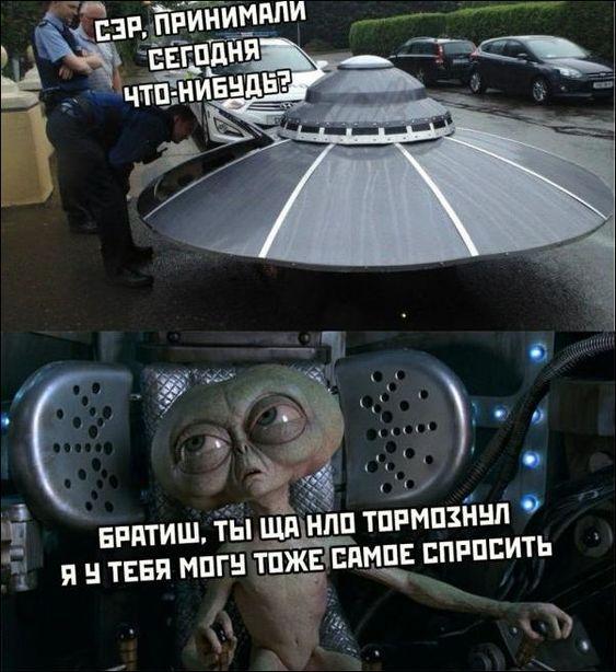 Самые смешные и забавные картинки