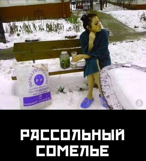 Самые смешные и ржачные до слез картинки