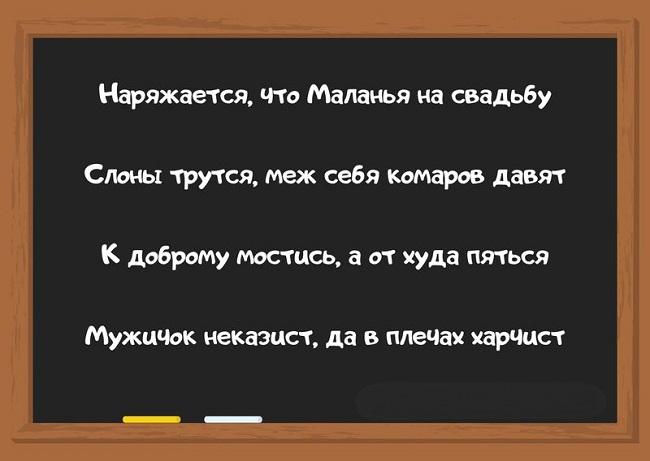 Прикольные и веселые пословицы на картинках