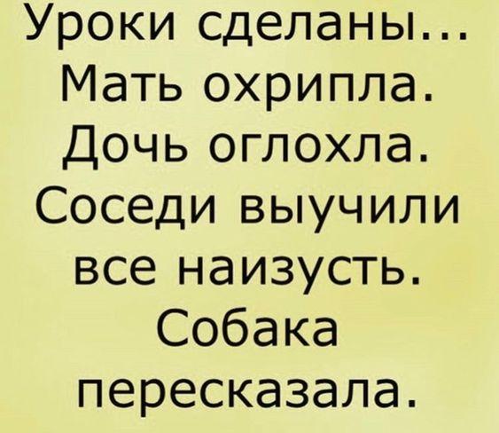 Подробнее о статье Смешные статусы про школу и учебу