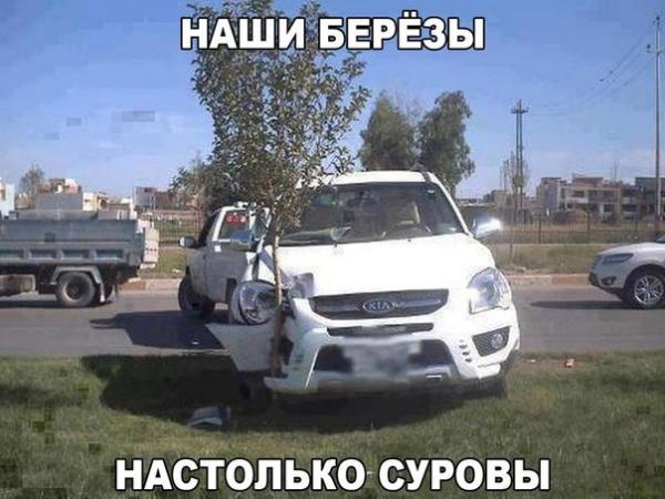 Новые клевые фото-приколы