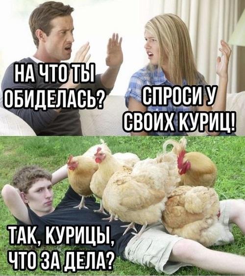 Прикольные и самые смешные картинки