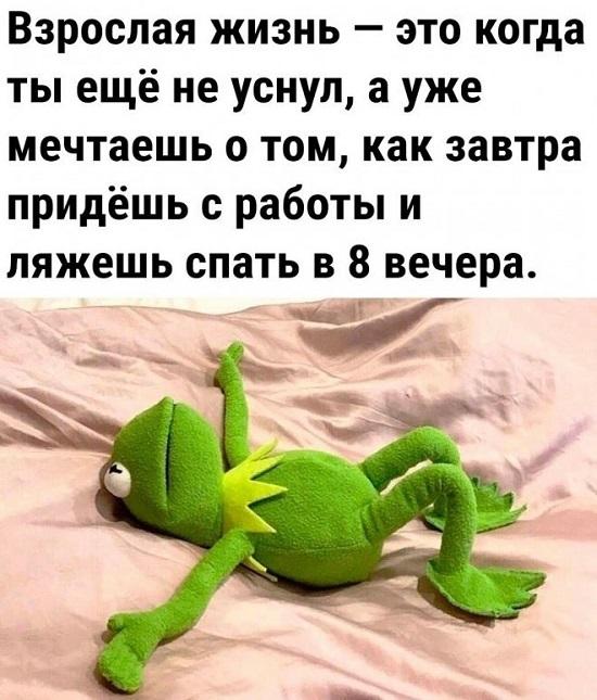 Классные прикольные картинки