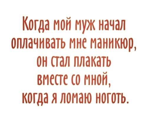 Подробнее о статье Четверг — очень свежие шутки