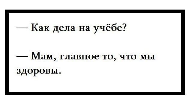 Смешные статусы про школу на картинках