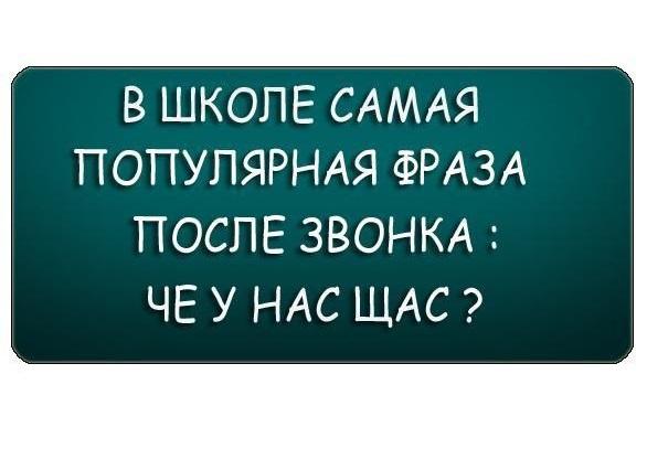 Смешные статусы про школу на картинках