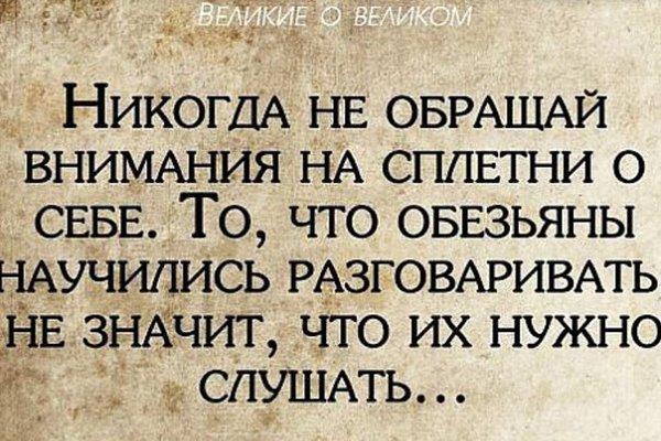 Подробнее о статье Красивые статусы про зависть и сплетни