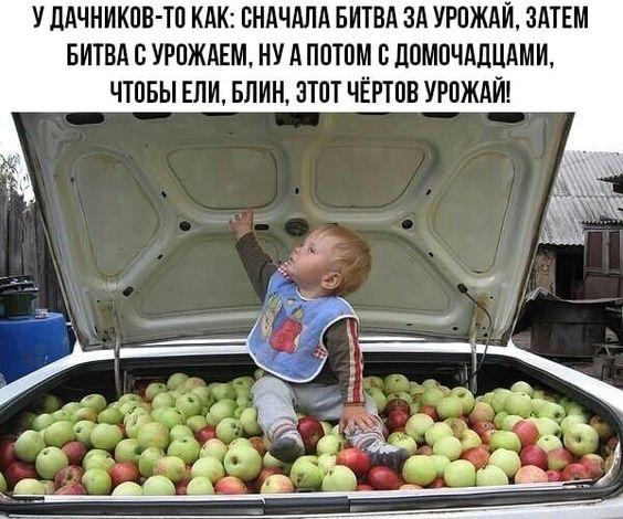 Новенькие мемы пятницы