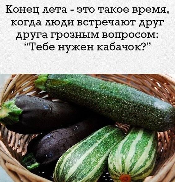 Новенькие мемы пятницы