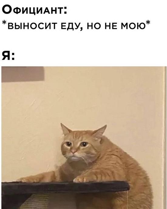 Мемы для понедельника