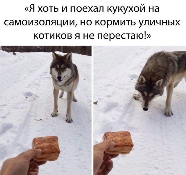 Мемы для понедельника