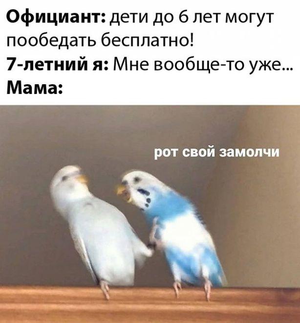 Мемы для среды