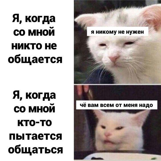 Мемы для пятницы