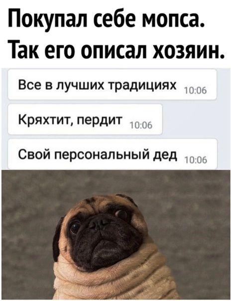 Мемы для пятницы