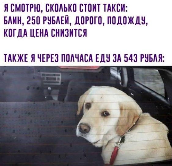 Мемы для пятницы