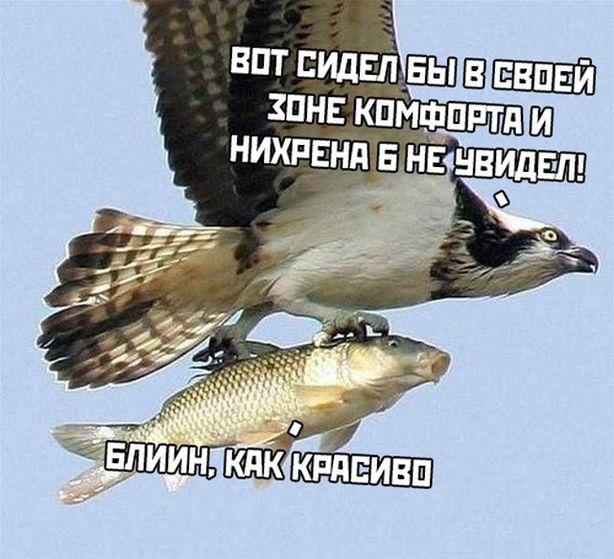 Смешные мемы для вторника