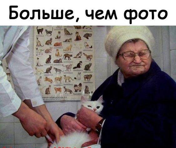 Просто ржачные картинки