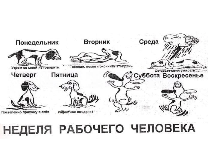 Подборка улетных анекдотов-картинок