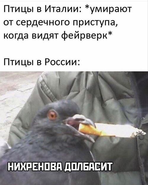 Просто супер угарные картинки