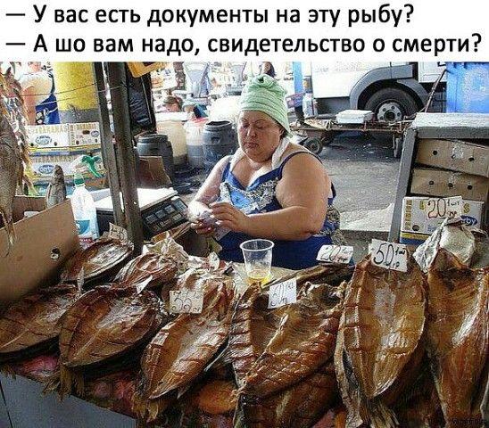 Просто забавные картинки