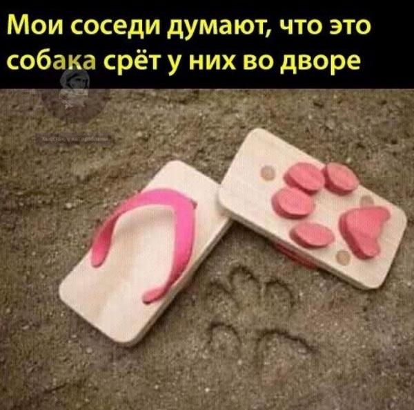 Смешные до слез мемы понедельника