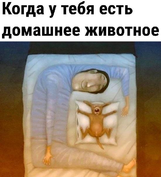 Смешные до слез мемы для пятницы