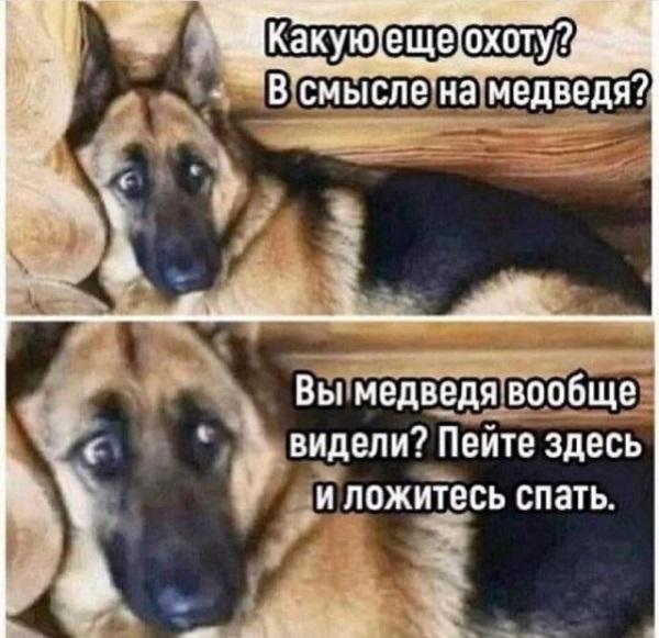 Смешные до слез мемы для пятницы