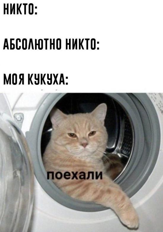 Очень смешные мемы для среды