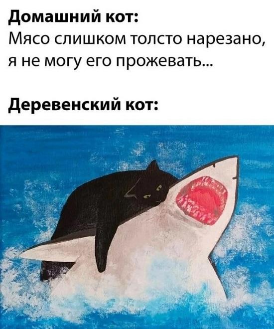 Самые смешные мемы для пятницы