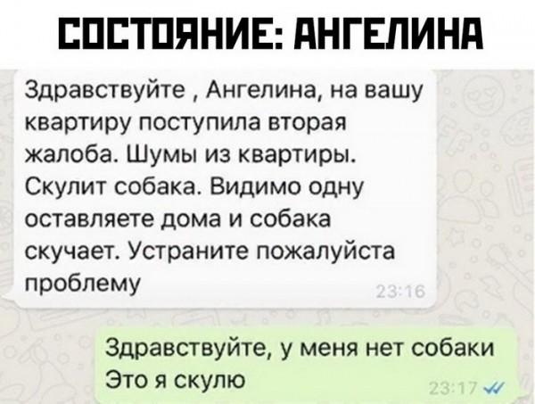 Подробнее о статье Подборка ржачных комментариев из соцсетей