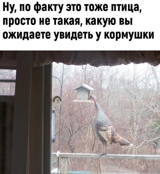 Просто клевые картинки