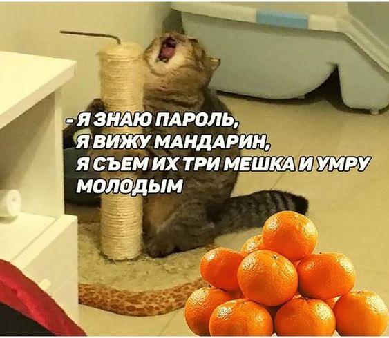 Просто убойные картинки