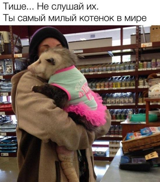 Просто клевые картинки