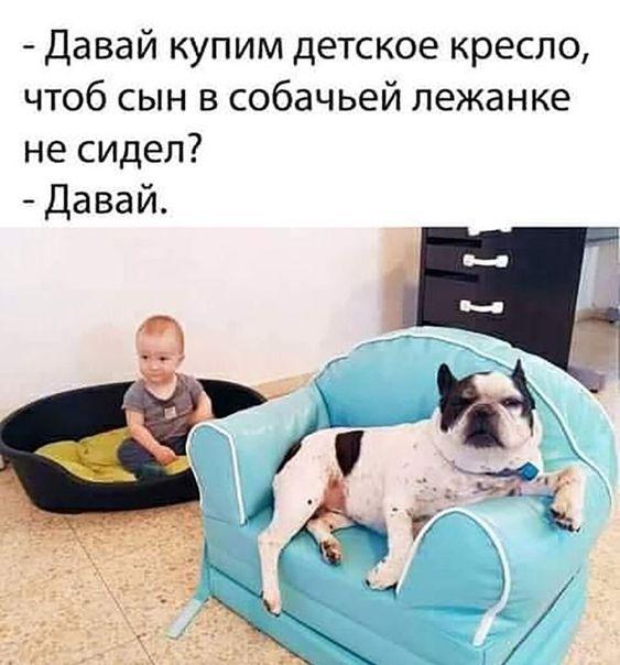 Просто клевые картинки