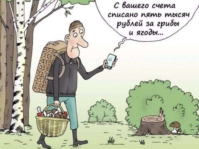 Смешные карикатуры про грибы и грибников