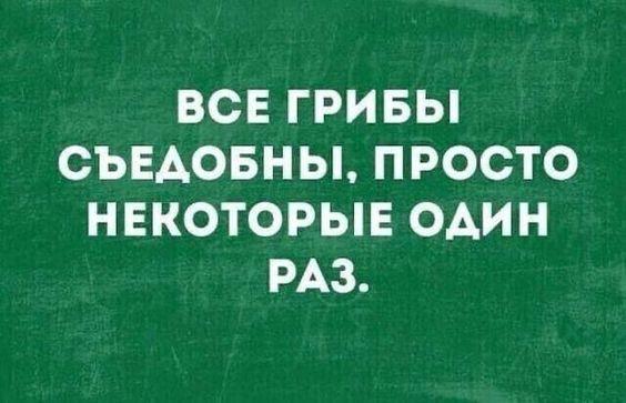 Подробнее о статье Прикольные шутки для понедельника