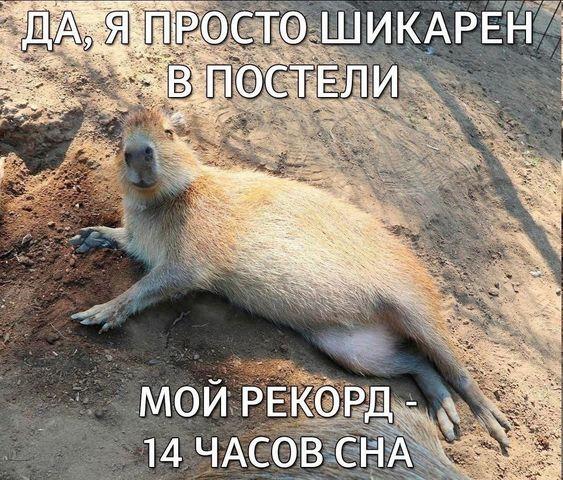 Прикольные до слез мемы для понедельника