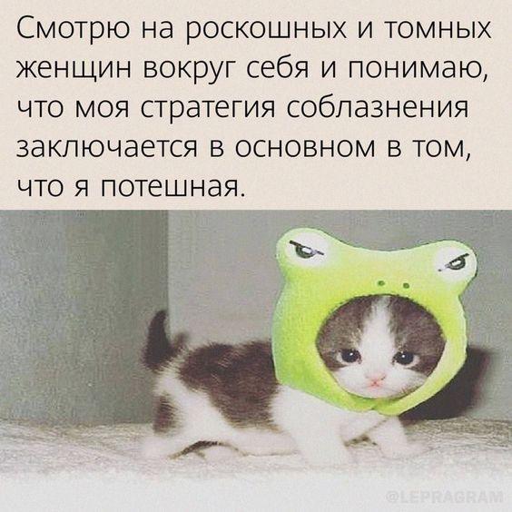 Прикольные до слез мемы для понедельника