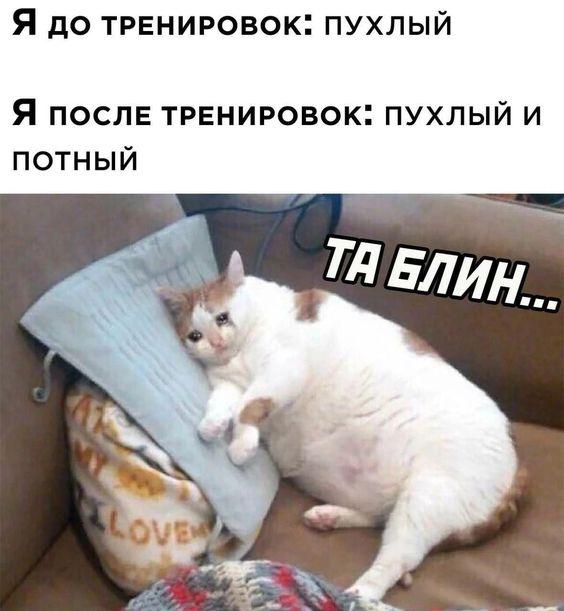 Прикольные до слез мемы для понедельника