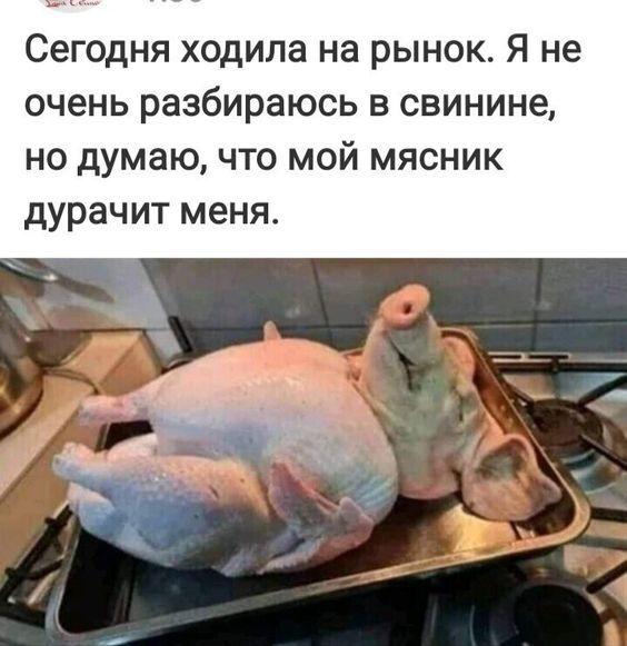 Мемы и лучшие картинки с надписями