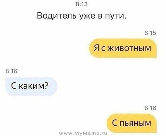 Картинки с надписями и прикольные до слез мемы